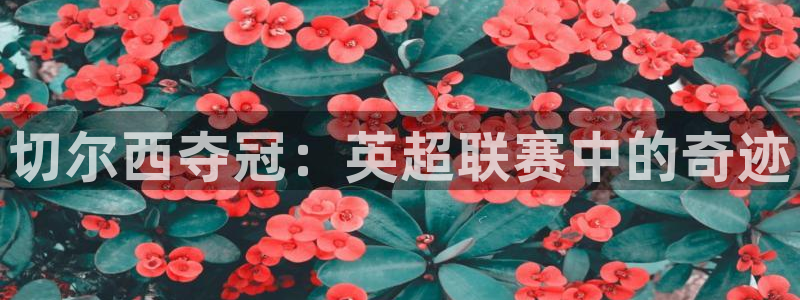 切尔西夺冠：英超联赛中的奇迹
