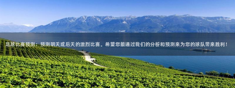  足球比赛预测：预测明天或后天的激烈比赛。希望您能通过我们的分