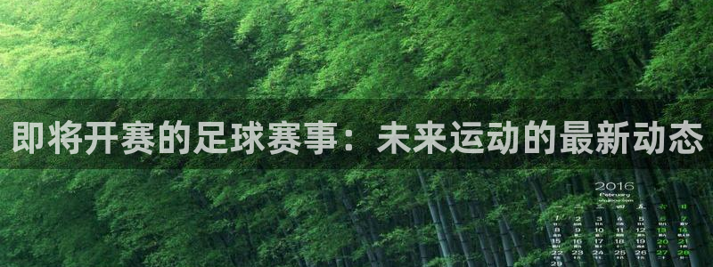 即将开赛的足球赛事：未来运动的最新动态