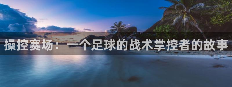 操控赛场：一个足球的战术掌控者的故事