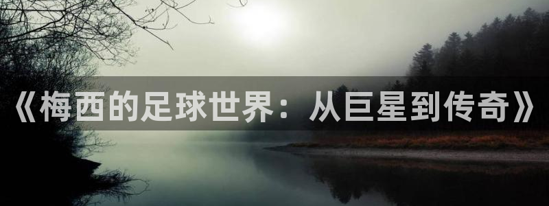 《梅西的足球世界：从巨星到传奇》