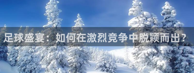 足球盛宴：如何在激烈竞争中脱颖而出？