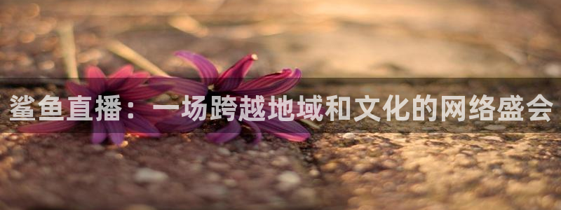 五星体育女主持：鲨鱼直播：一场跨越地域和文化的网络盛会