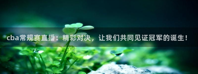 五星体育 刘鹏：cba常规赛直播：精彩对决，让我们共同见证冠军的诞生！