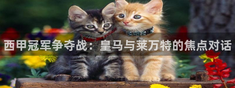 五星体育周力：西甲冠军争夺战：皇马与莱万特的焦点对话