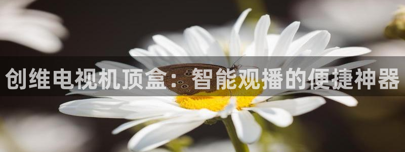 上海五星体育频道节目单表：创维电视机顶盒：智能观播的便捷神器