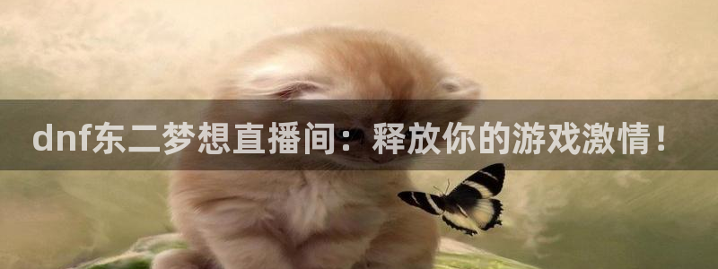 五星体育 解说：dnf东二梦想直播间：释放你的游戏激情！