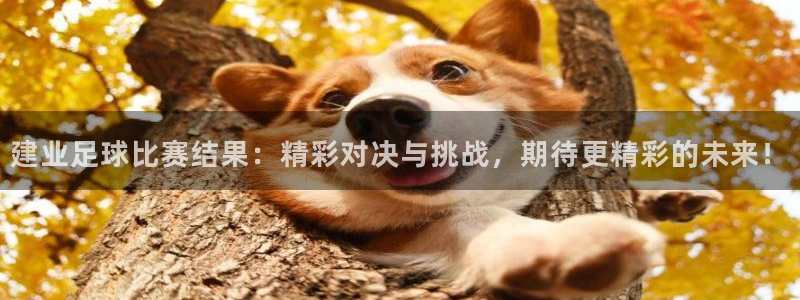 建业足球比赛结果：精彩对决与挑战，期
