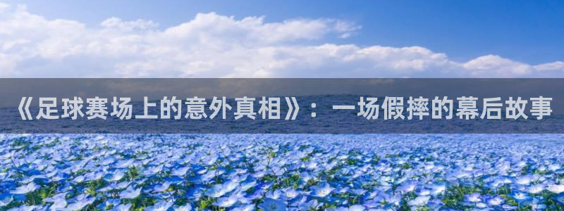 《足球赛场上的意外真相》：一场假摔的