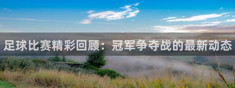 足球比赛精彩回顾：冠军争夺战的最新动