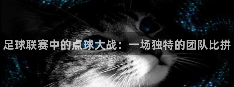 足球联赛中的点球大战：一场独特的团队