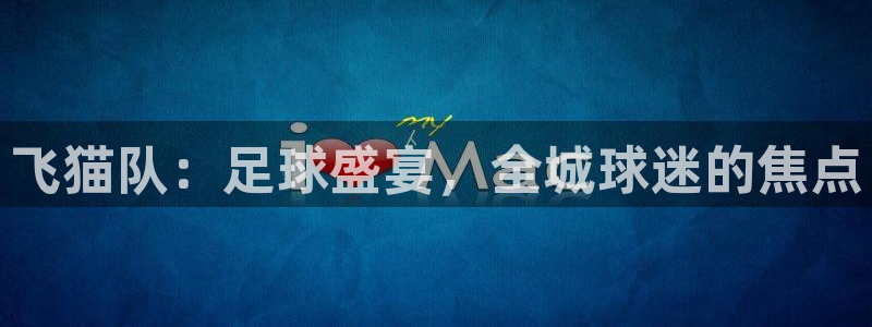 飞猫队：足球盛宴，全城球迷的焦点
