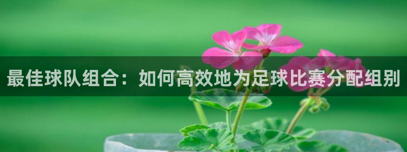 最佳球队组合：如何高效地为足球比赛分