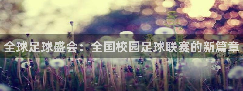 全球足球盛会：全国校园足球联赛的新篇