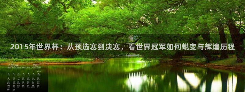 2015年世界杯：从预选赛到决赛，看