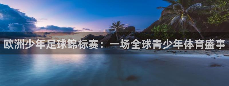 欧洲少年足球锦标赛：一场全球青少年体