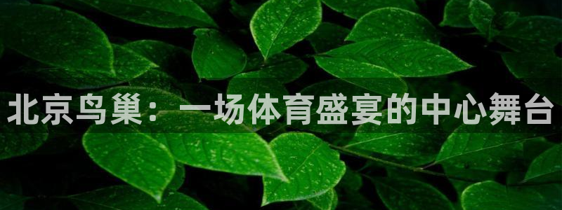 北京鸟巢：一场体育盛宴的中心舞台