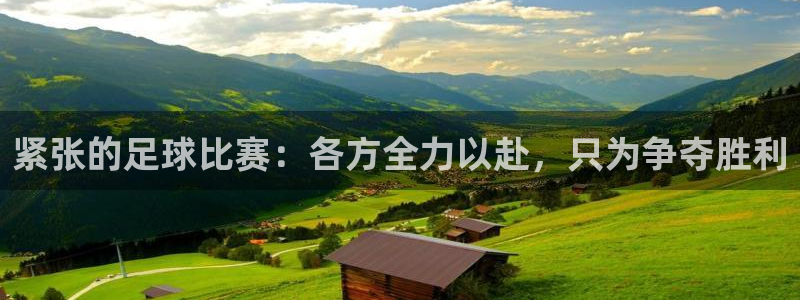 紧张的足球比赛：各方全力以赴，只为争
