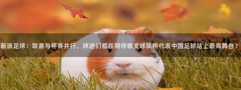 新浪足球：联赛与杯赛并行，球迷们都在