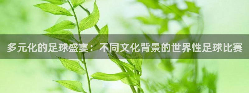 多元化的足球盛宴：不同文化背景的世界