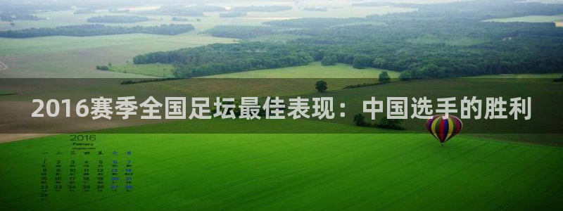 2016赛季全国足坛最佳表现：中国选