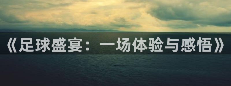 《足球盛宴：一场体验与感悟》