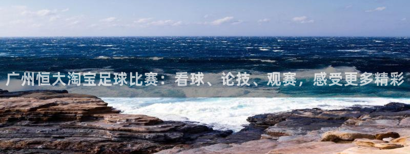 广州恒大淘宝足球比赛：看球、论技、观