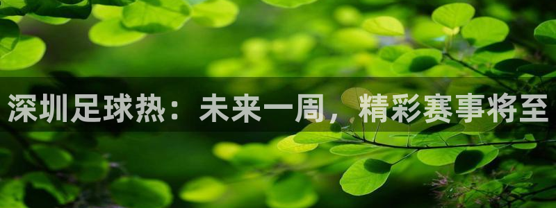 深圳足球热：未来一周，精彩赛事将至