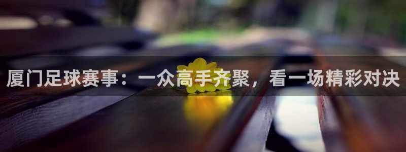 厦门足球赛事：一众高手齐聚，看一场精