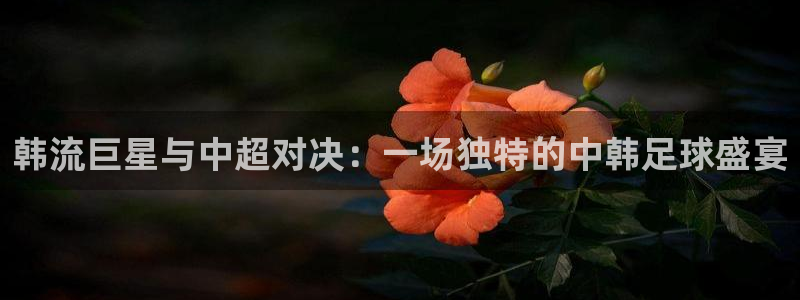韩流巨星与中超对决：一场独特的中韩足