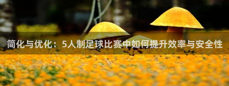 简化与优化：5人制足球比赛中如何提升