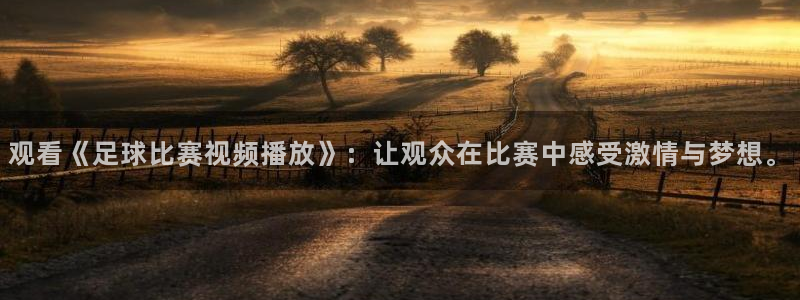 观看《足球比赛视频播放》：让观众在比