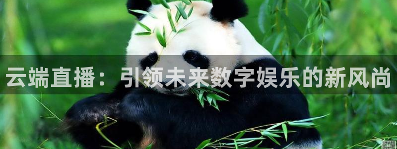 五星体育f1在哪看：云端直播：引领未来数字娱乐的新风尚