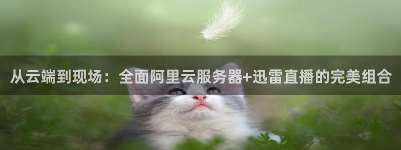 上海五星体育频道在线直播：从云端到现场：全面阿里云服务器+迅雷直播的完美组合